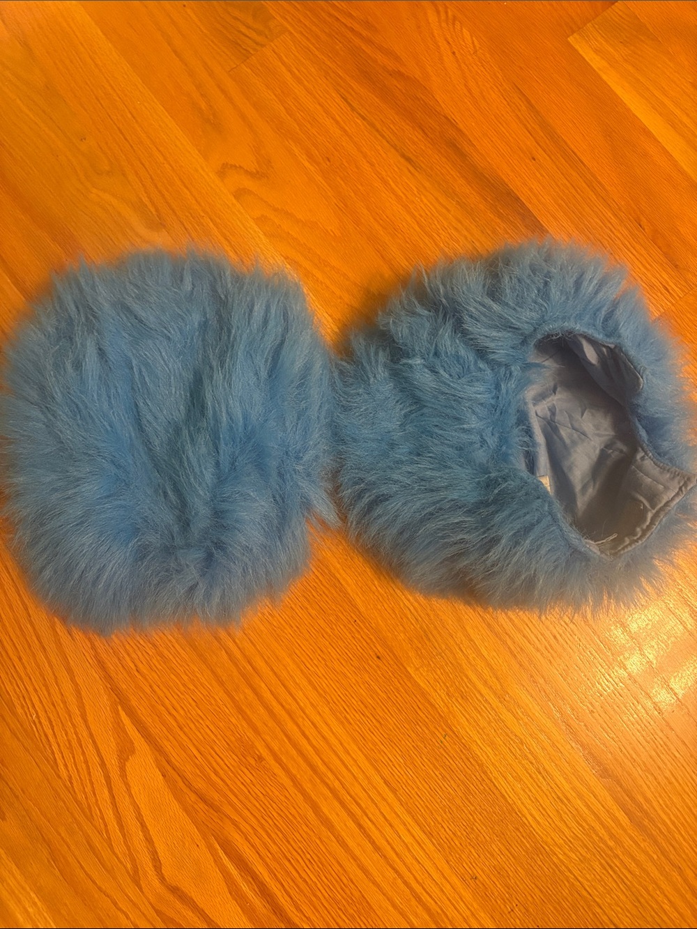 Dr. Seuss Blue Fuzzy Wigs (2)
